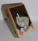 Caseta tip carte din lemn, pictata - Pisica